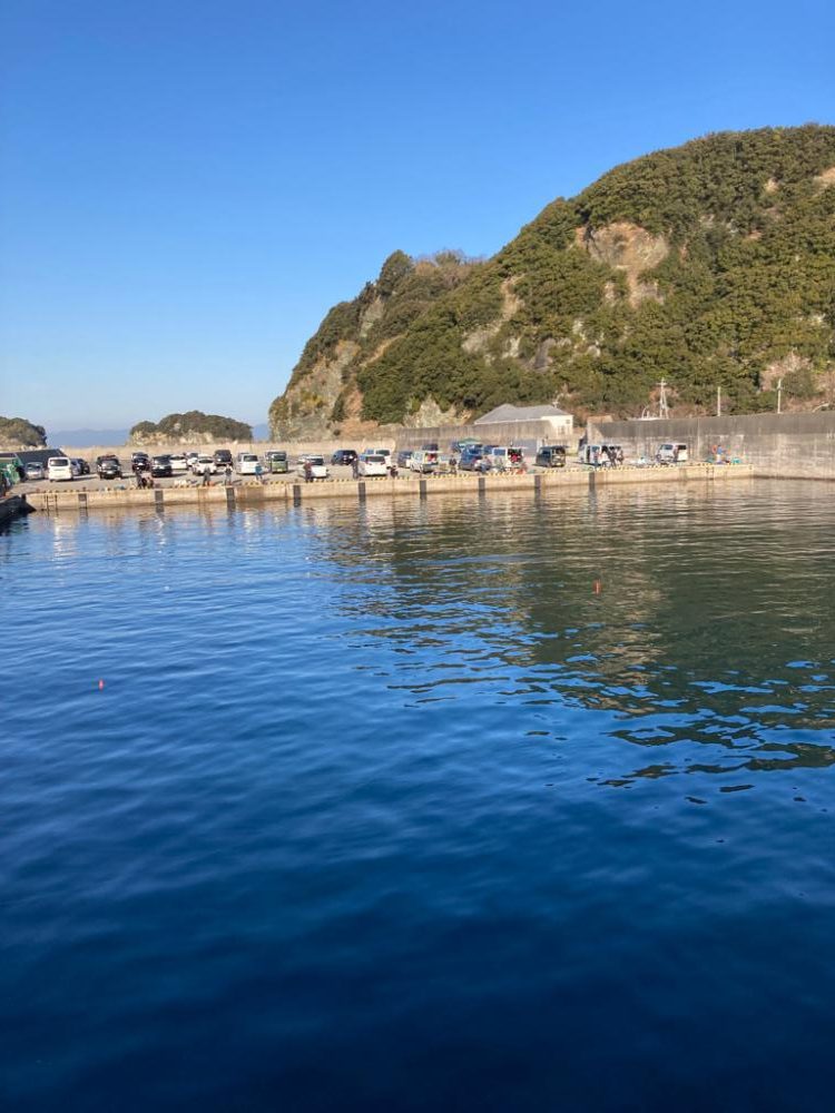 サビキにハマりつつある