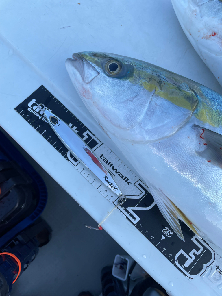 丹後沖青物ジギング