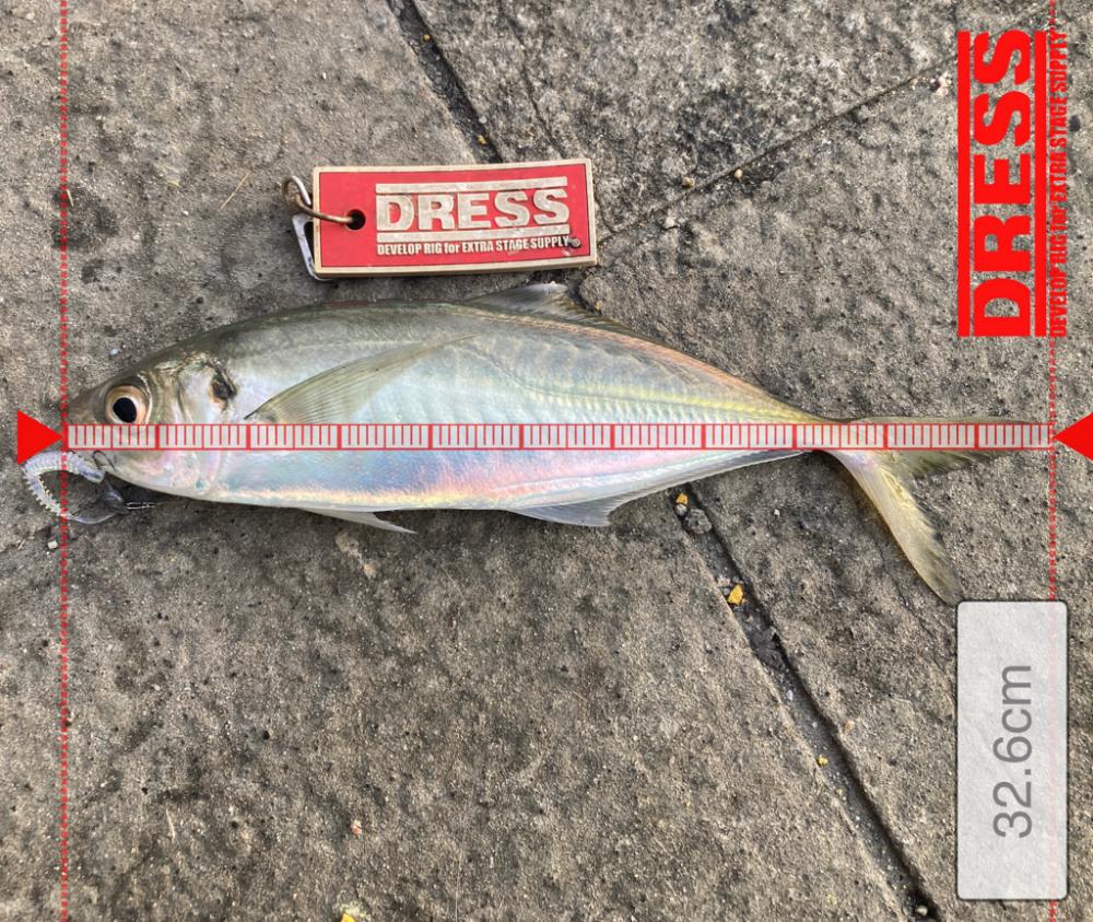 和歌山ランガン