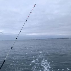 淡路カットウ釣り