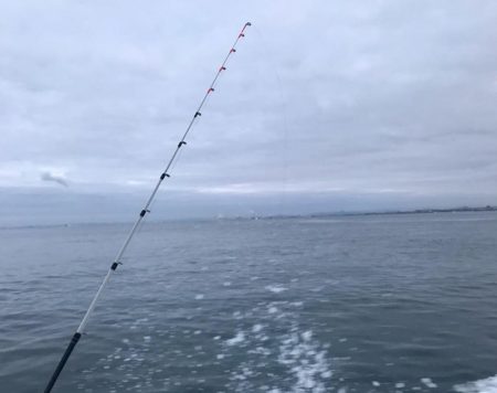 淡路カットウ釣り