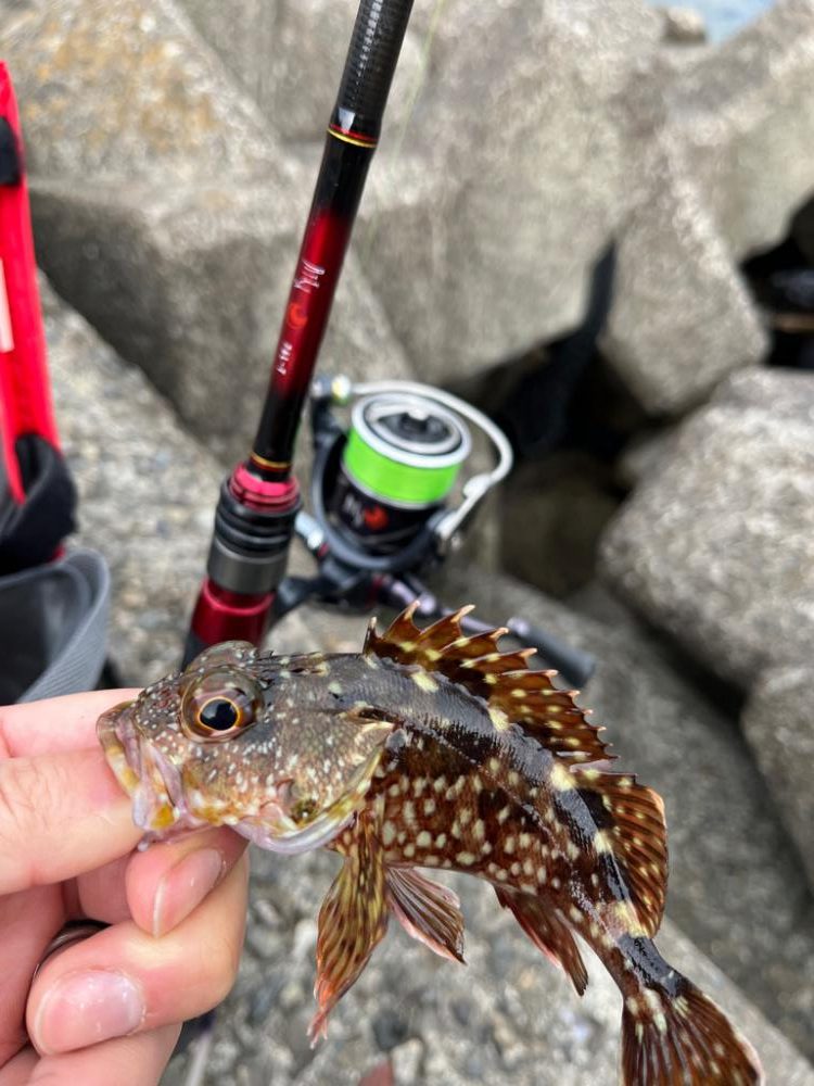 少し遠出ライトゲーム②