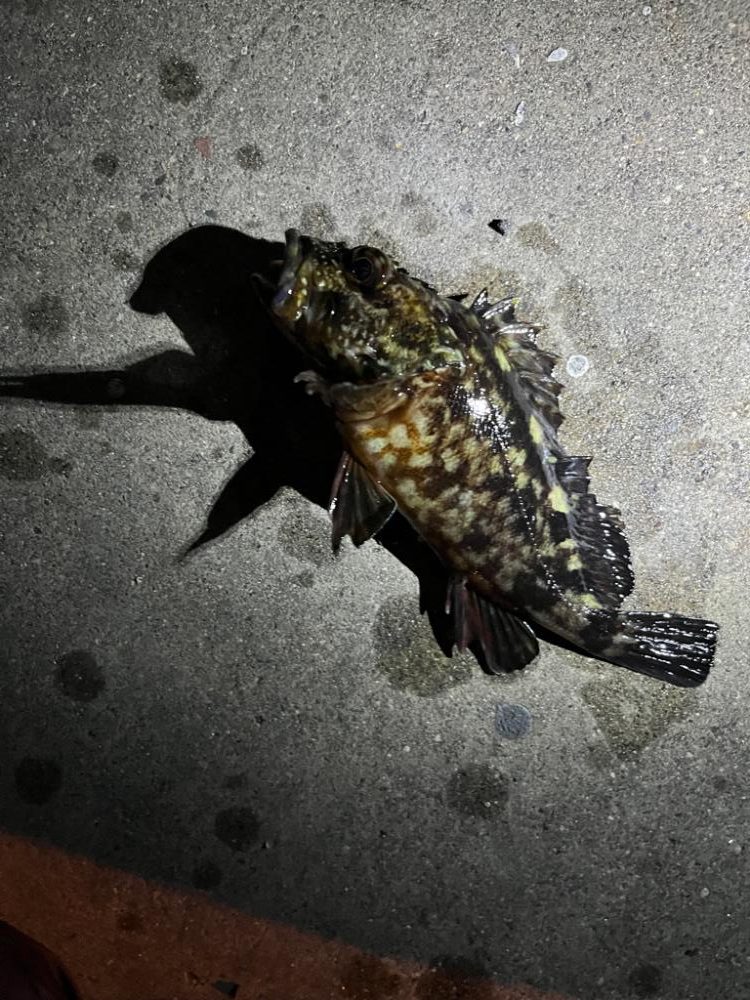 四日市ライトロック