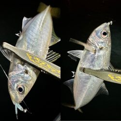 ボートアジング