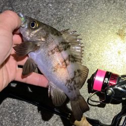 アフタースポーン メバリング