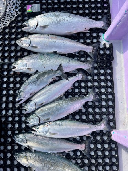 オフショアジギングin羅臼