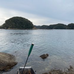 九十九島チヌ釣り❗️