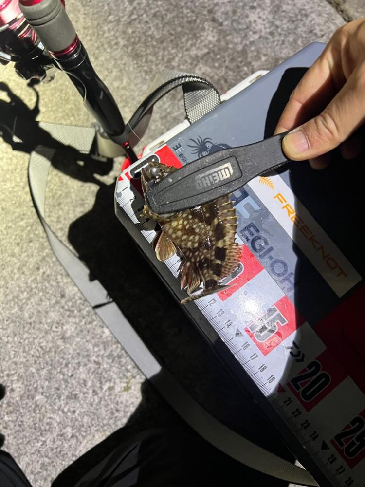 嬉しすぎるあたり！