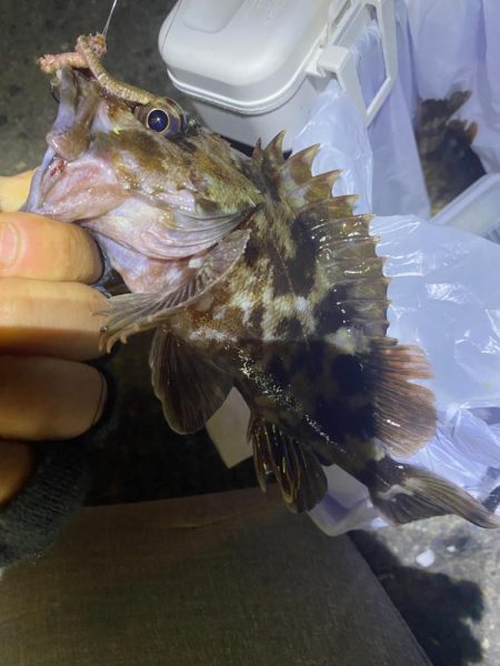 人も寒く釣果も寒く