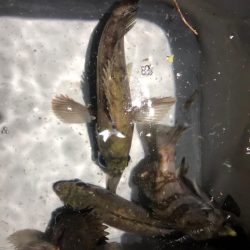 久々の友人との釣行