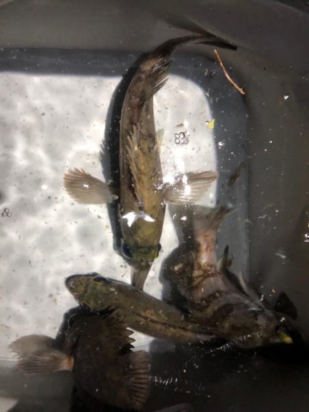 久々の友人との釣行