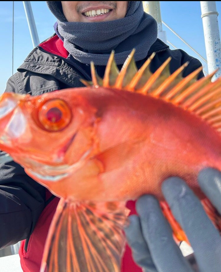 寒波以降の厳しさ脱出か
