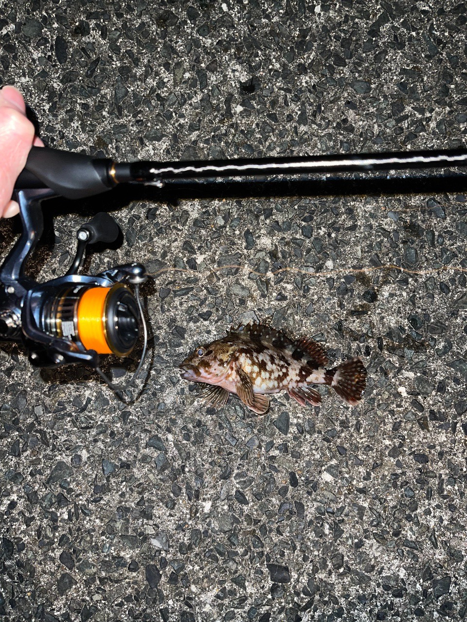 23メバリング日記2