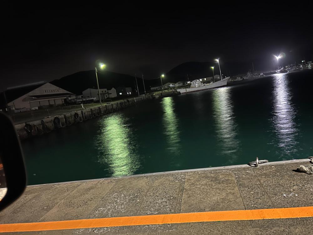 やっと釣れた🥺