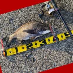 ベタ凪の暖かい日