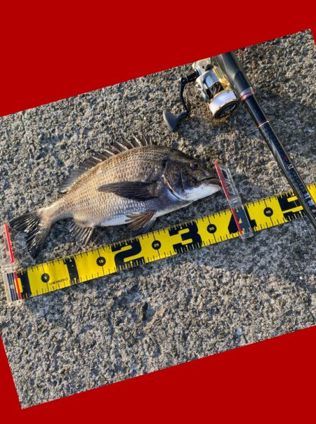 ベタ凪の暖かい日