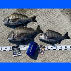 朝方は潮が低く