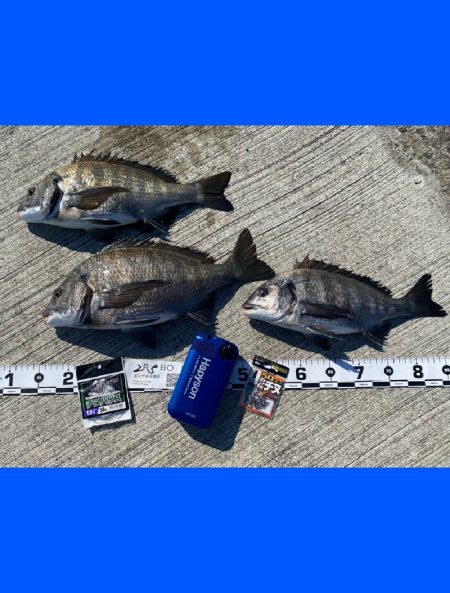 朝方は潮が低く