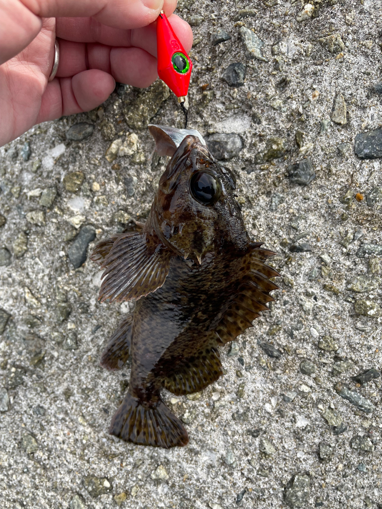 帰ってきた穴釣りNo.5