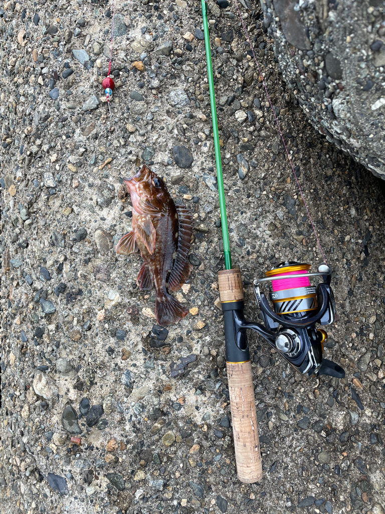 帰ってきた穴釣りNo.4