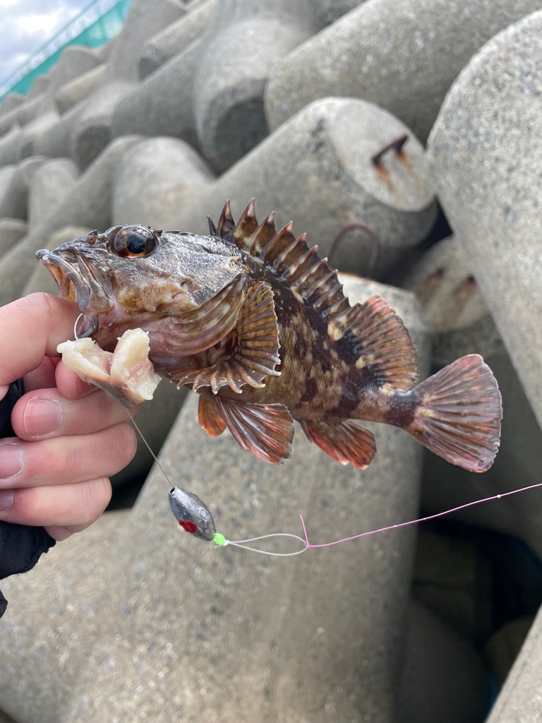 帰ってきた穴釣りNo.6