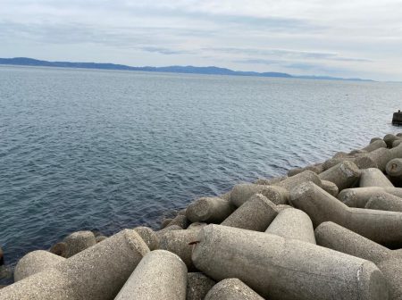 巨大タケノコ出現！