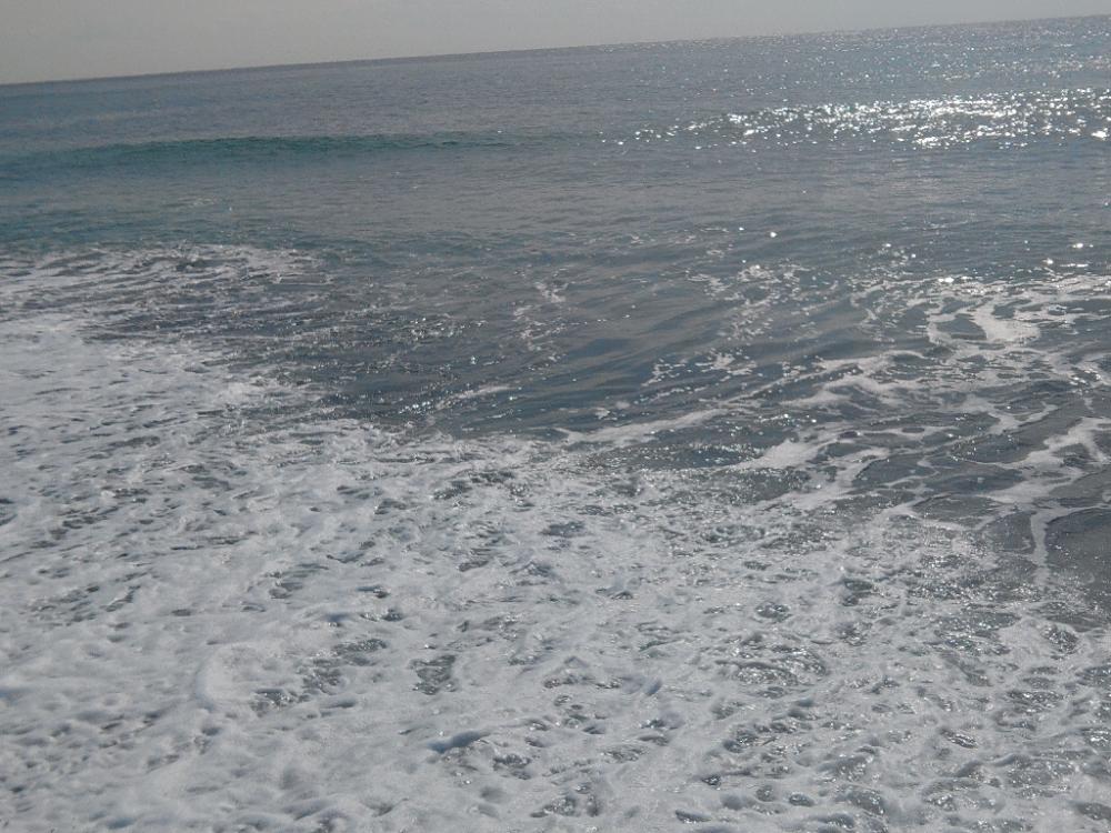 ド、ド、ドリフの大爆釣♪