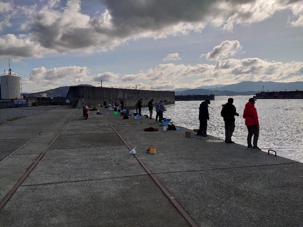 入れ食いボコボコサーディン