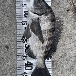 イチノ兄弟(兄)釣果!