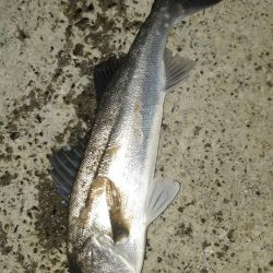 1週間ぶりに行ってきました。