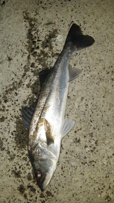 1週間ぶりに行ってきました。