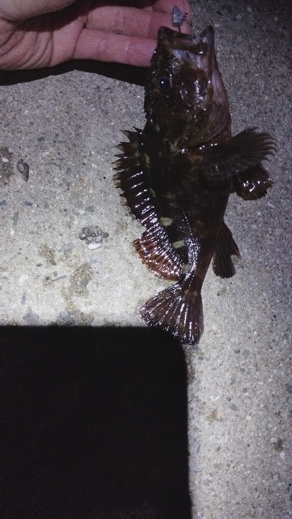 唐揚げ食べたい