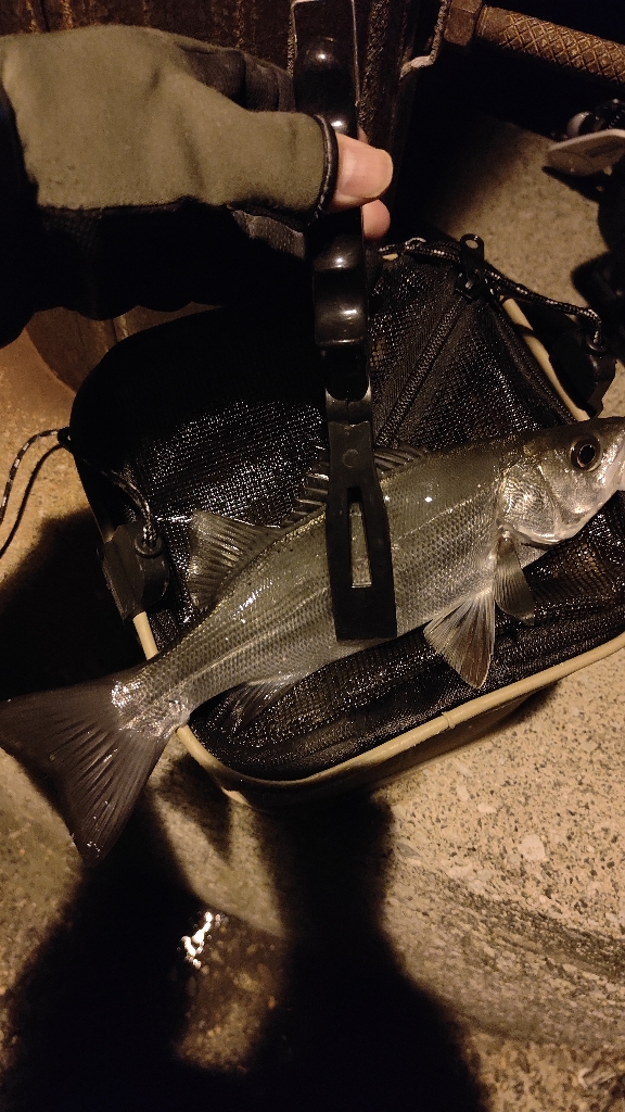 昨日のリベンジ