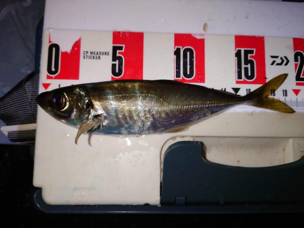 リハビリアジング