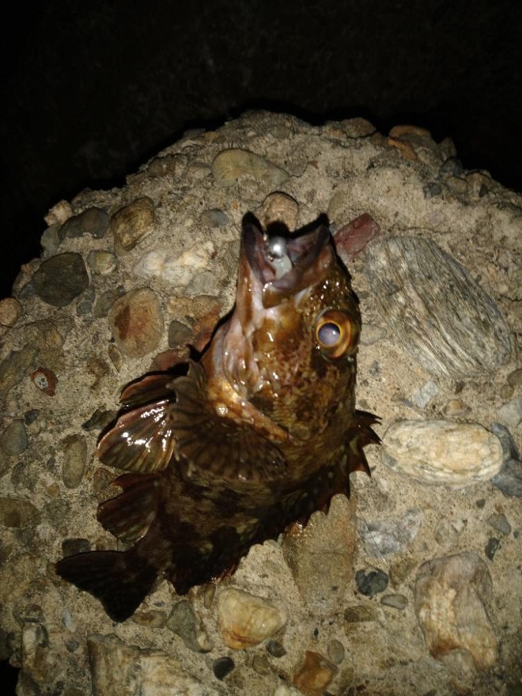 ちょい釣り20230226