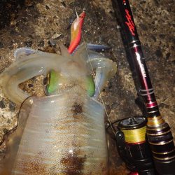 凪エギングin対馬