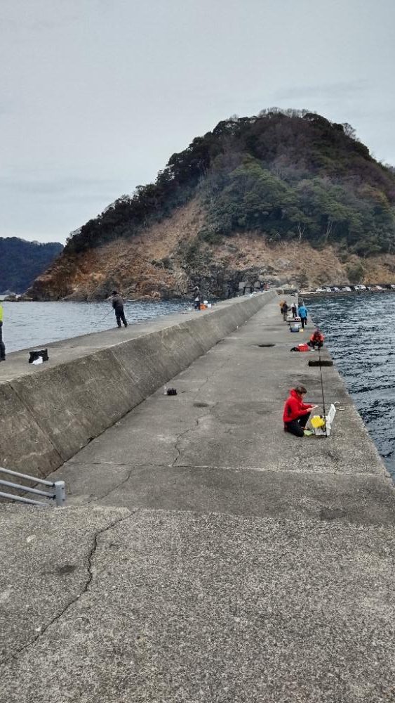 アジ回遊あり！