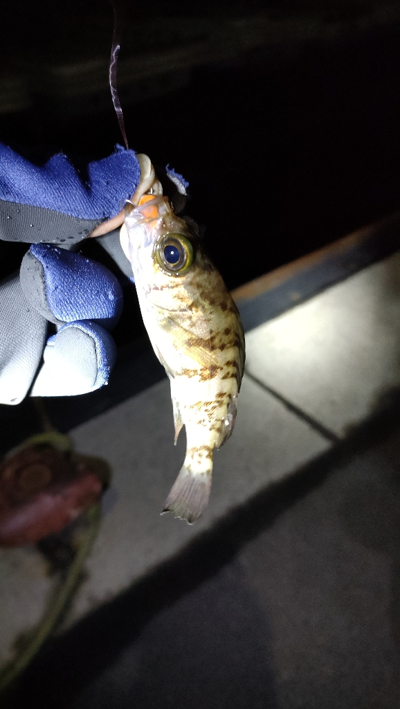 上げ潮の一瞬だけ