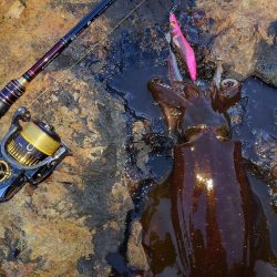 月夜エギングin対馬