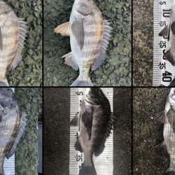 イチノ兄弟（兄）釣果！