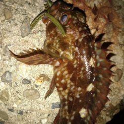 ちょい釣り20230222