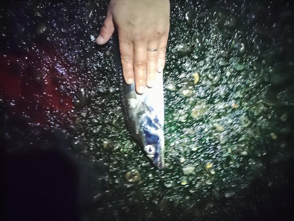 そろそろ終盤？