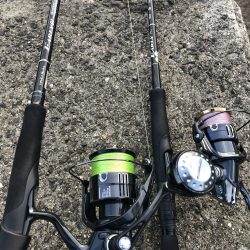 困った時のフラットフィッシュ