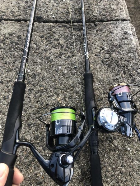 困った時のフラットフィッシュ