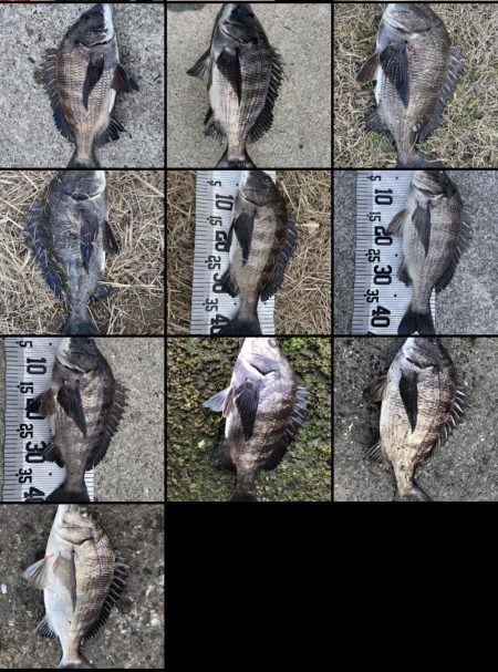 イチノ兄弟（兄）釣果！