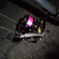 ちょこっとアフター狩り