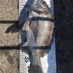 イチノ兄弟（兄）釣果！