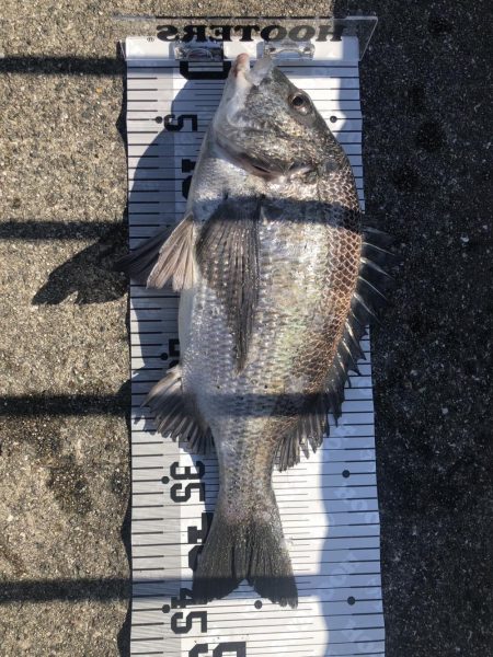 イチノ兄弟（兄）釣果！