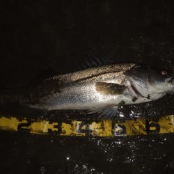 極寒のアフターシーバス