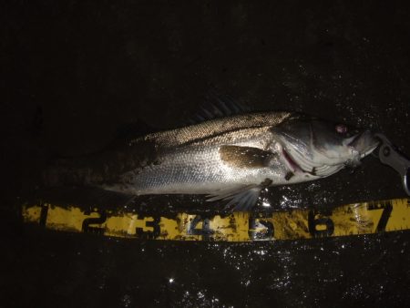 極寒のアフターシーバス